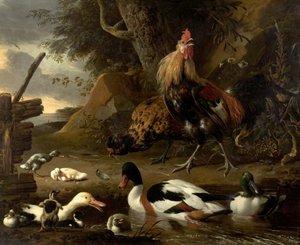 Duas galinhas e patos em uma lagoa de Melchior de Hondecoeter